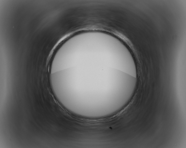 X0000082961224200703020205