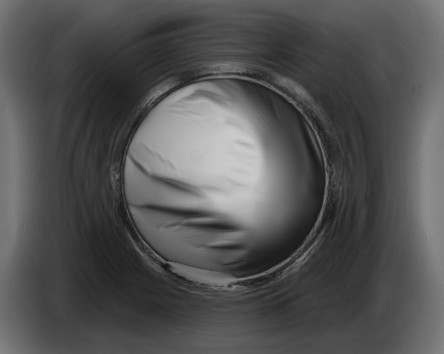 X0000082961225200703020205