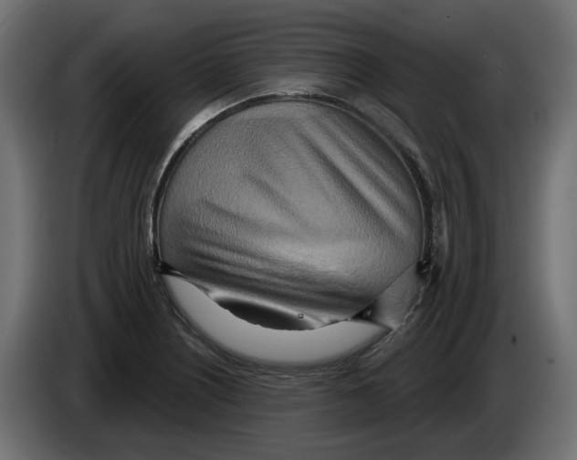 X0000082961226200703020205