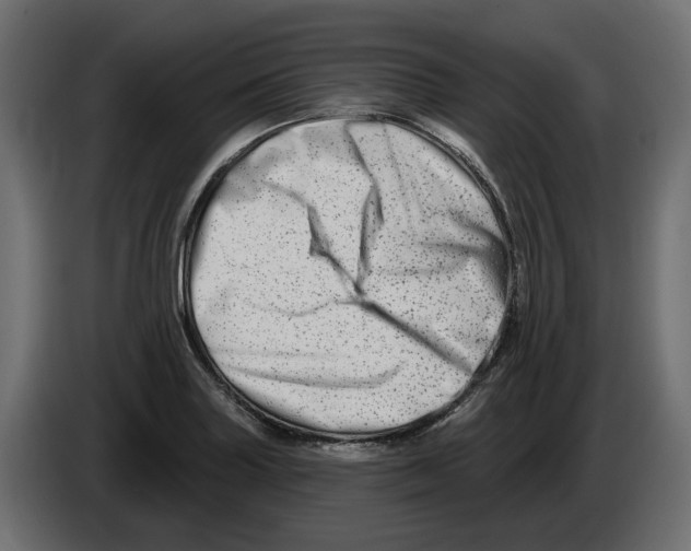 X0000082961227200703020205