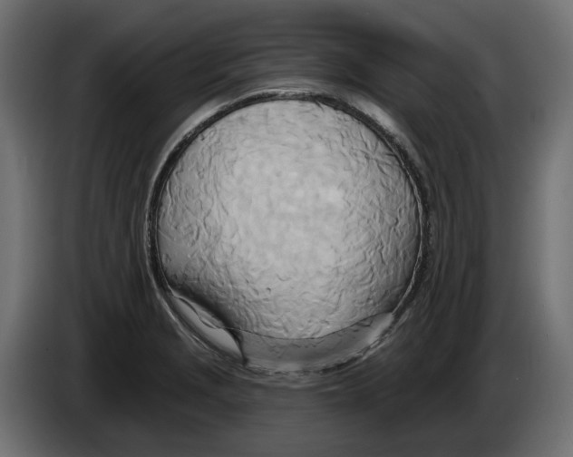 X0000082961229200703020205