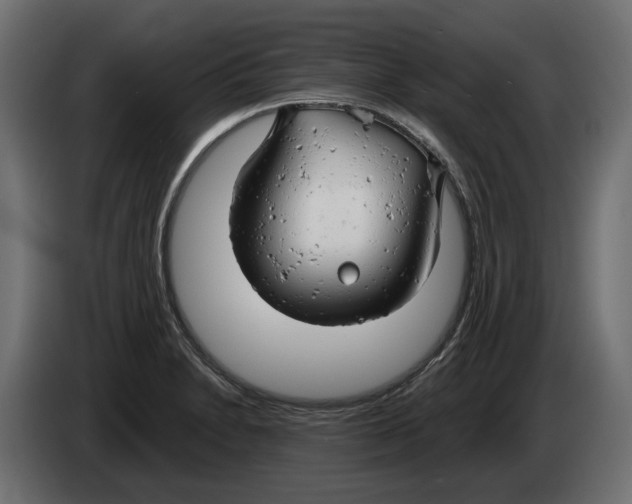 X0000082961230200703020205