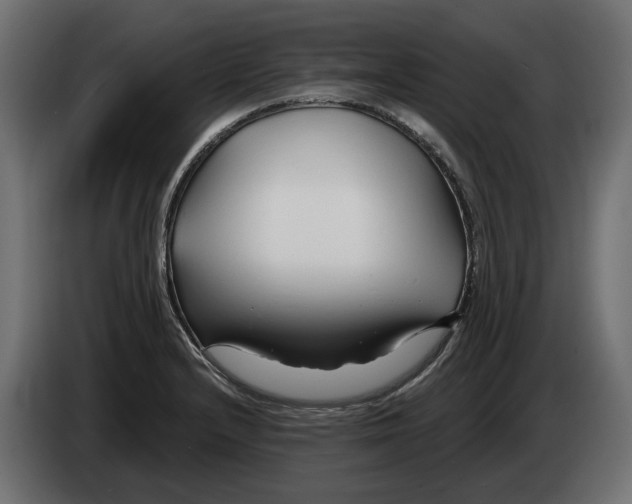 X0000082961232200703020205