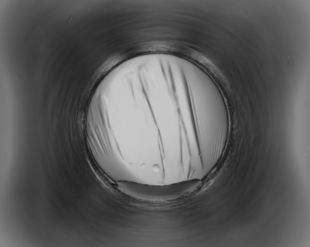 X0000082961233200703020205