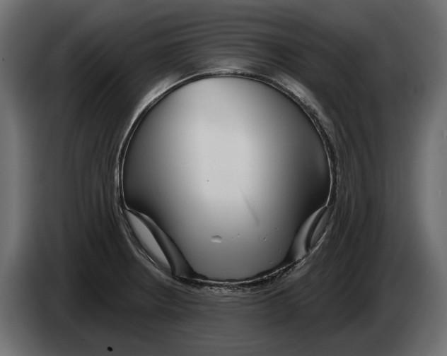 X0000082961234200703020205