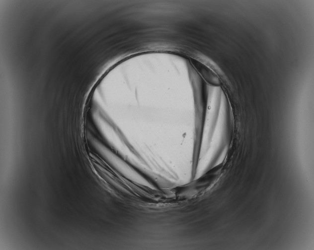 X0000082961236200703020205