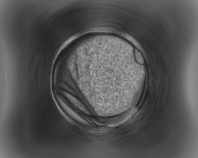 X0000082961237200703020205