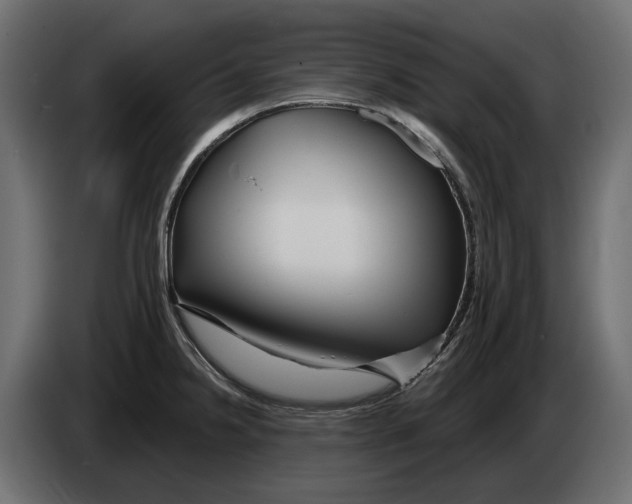 X0000082961238200703020205