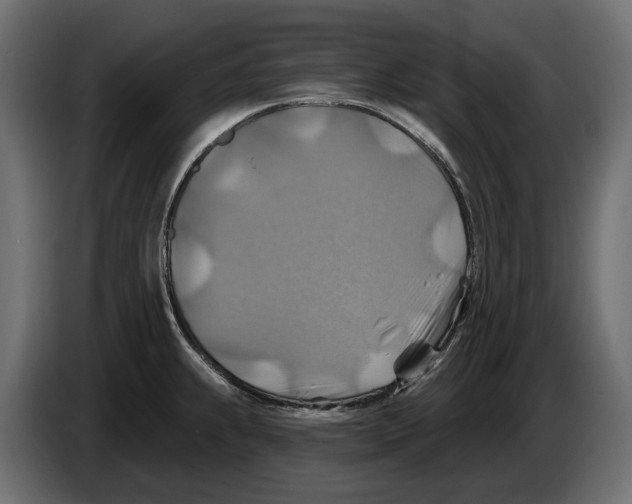 X0000082961239200703020205