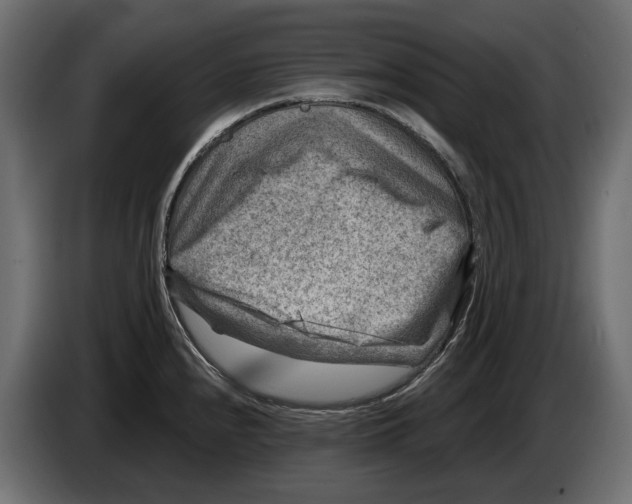 X0000082961240200703020205