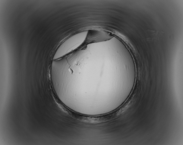 X0000082961241200703020205