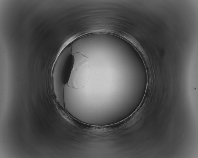 X0000082961242200703020205