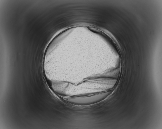 X0000082961244200703020205