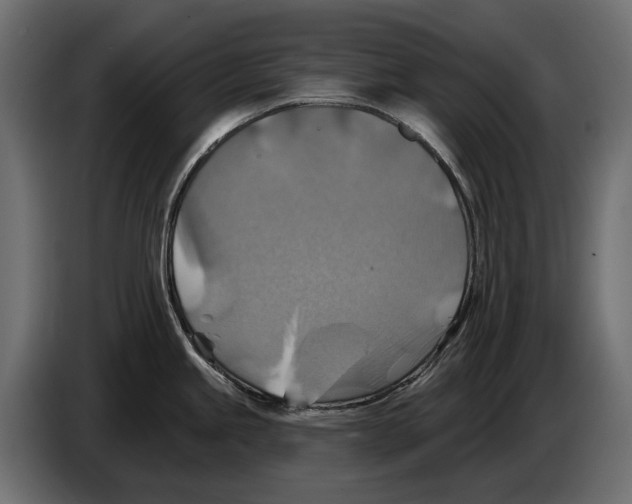 X0000082961245200703020205