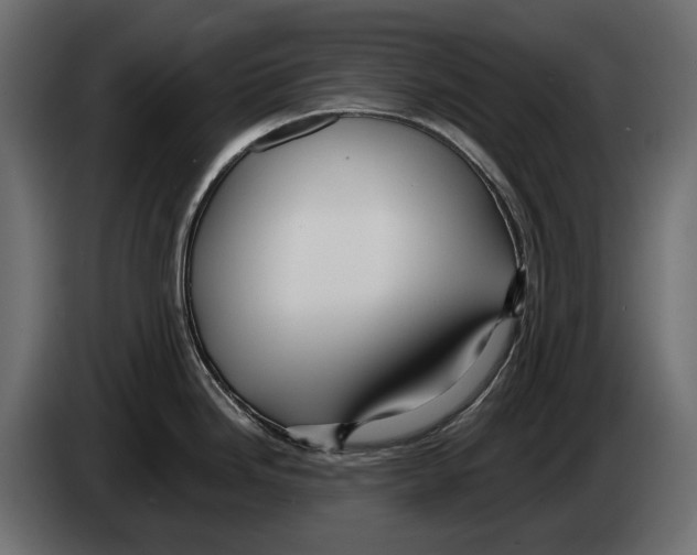 X0000082961246200703020205