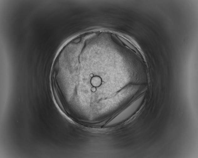 X0000082961247200703020205