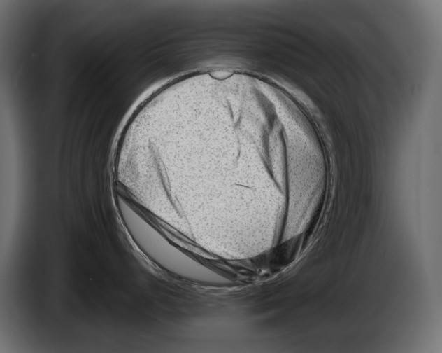 X0000082961248200703020205