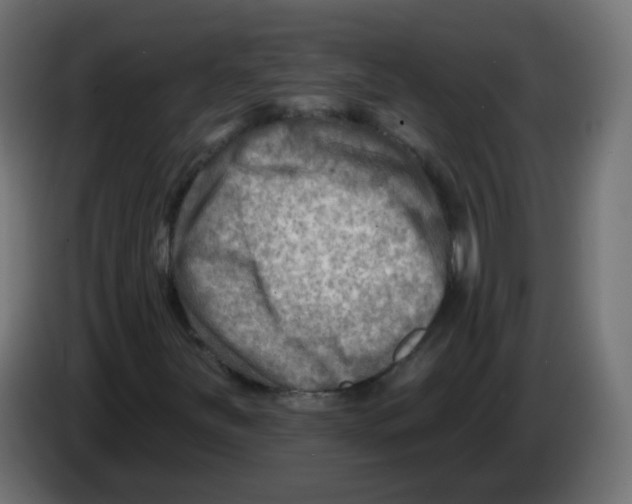 X0000082961251200703020205