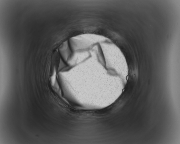 X0000082961252200703020205