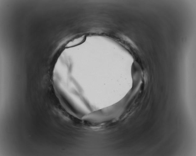 X0000082961256200703020205