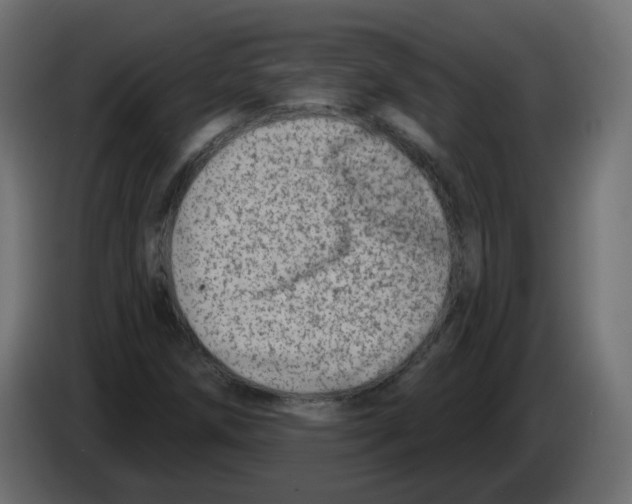 X0000082961258200703020205