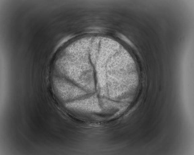 X0000082961259200703020204