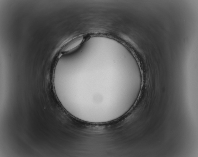 X0000082961261200703020204