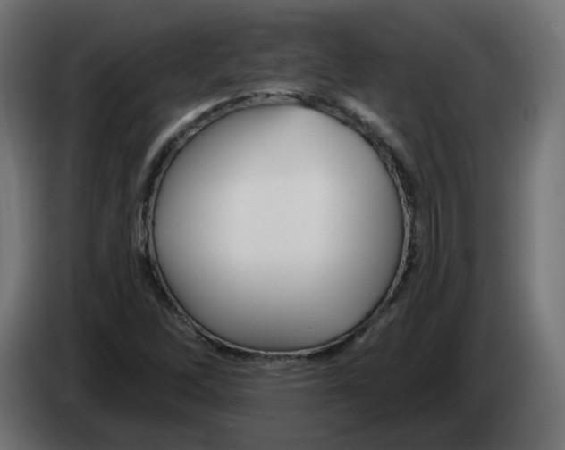 X0000082961262200703020204