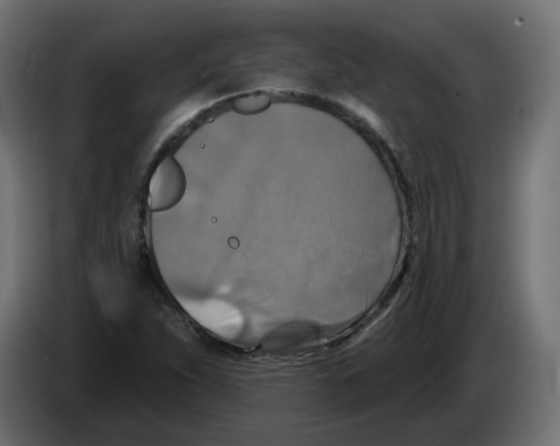 X0000082961263200703020204