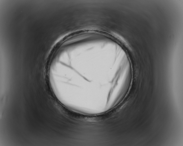 X0000082961264200703020204