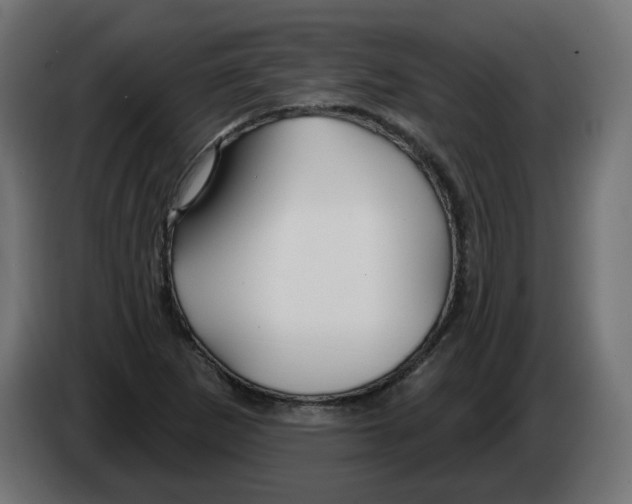 X0000082961265200703020204