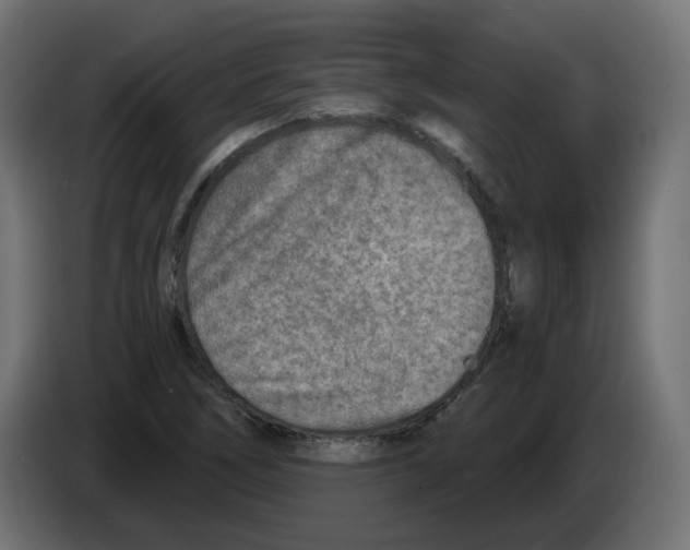 X0000082961266200703020204