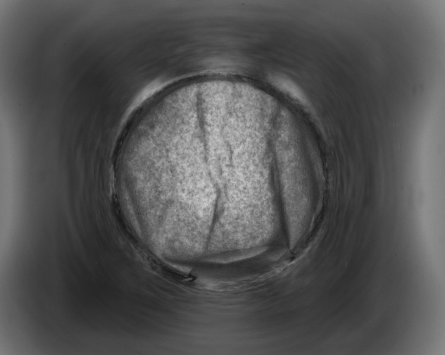 X0000082961267200703020204