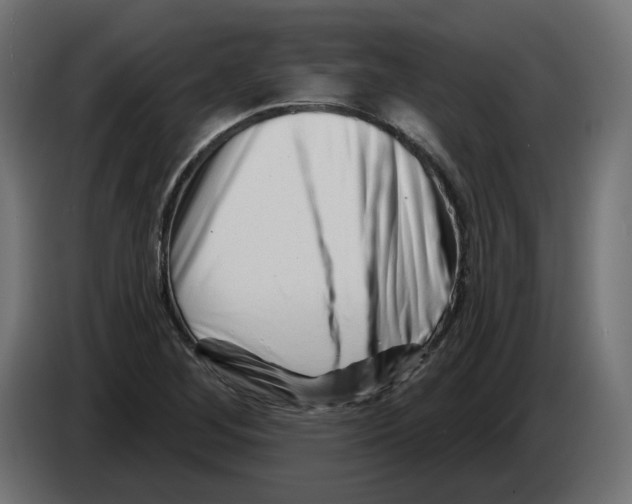 X0000082961268200703020204