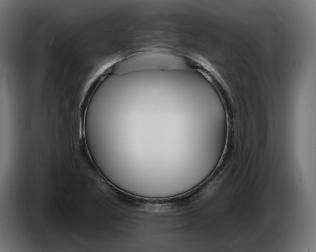 X0000082961269200703020204