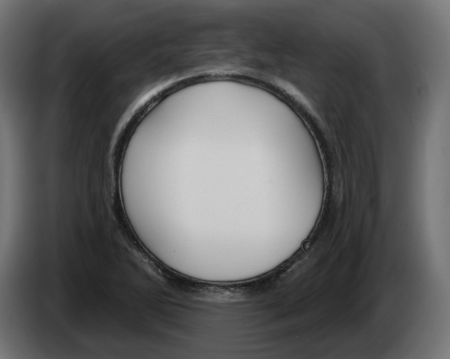 X0000082961270200703020204