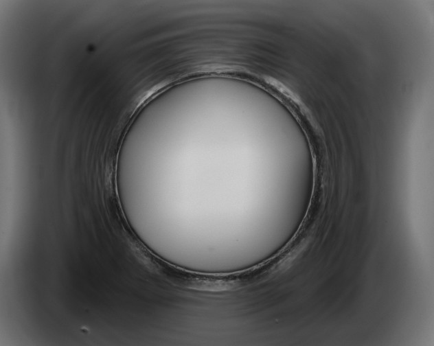 X0000082961273200703020204