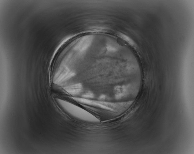 X0000082961275200703020204