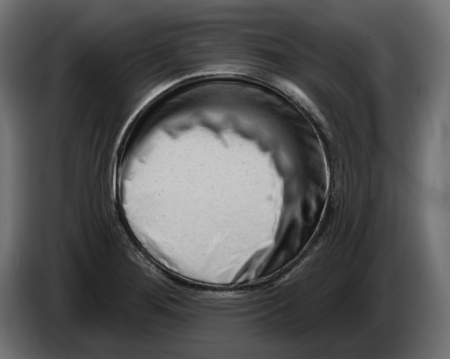 X0000082961276200703020204