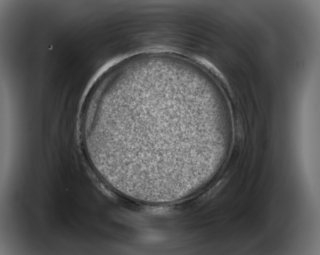 X0000082961278200703020204