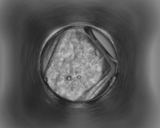 X0000082961279200703020204