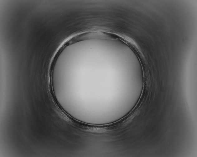 X0000082961280200703020204