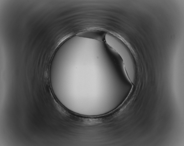 X0000082961281200703020204