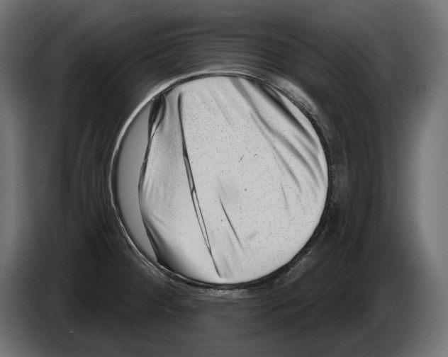 X0000082961284200703020204