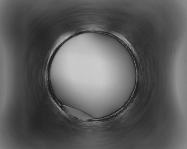 X0000082961285200703020204