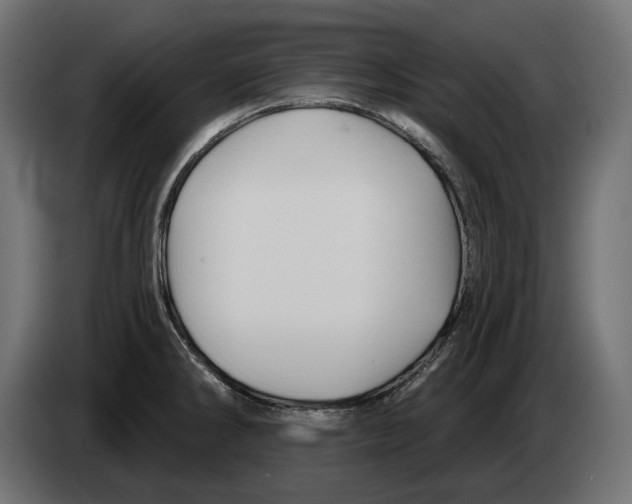 X0000082961286200703020204