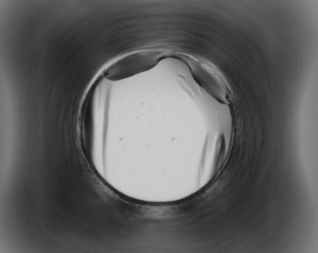 X0000082961288200703020204