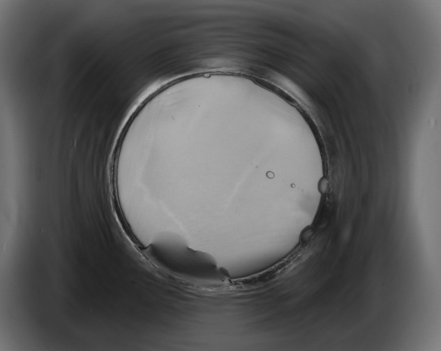 X0000082961291200703020204