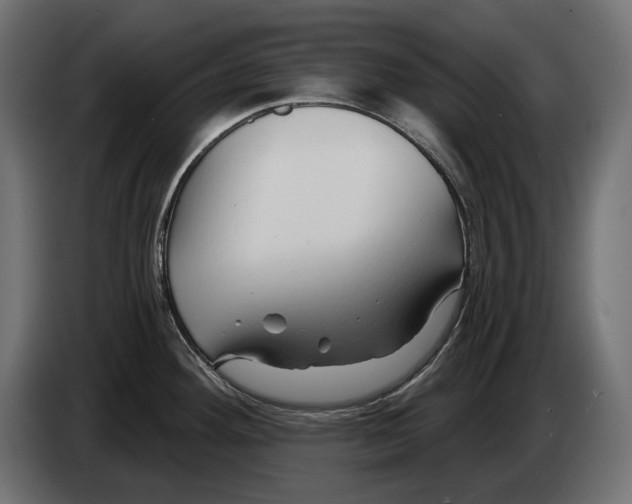 X0000082961292200703020204