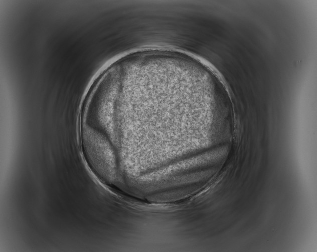 X0000082961295200703020204